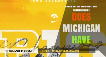 Michigan's Big Ten Basketball Championship Legacy