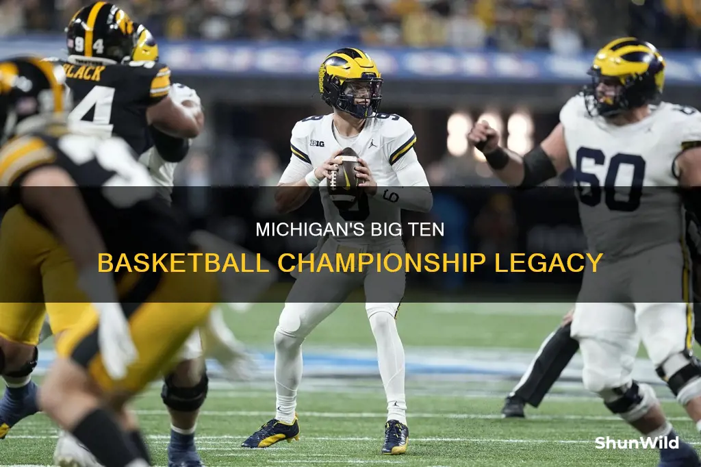 how many big ten basketball championships has michigan won
