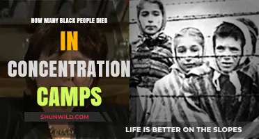 Black Victims in Concentration Camps: Uncovering the Forgotten History