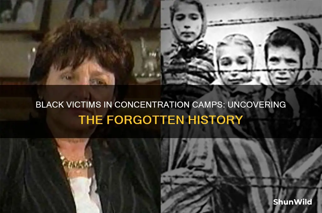 how many black people died in concentration camps