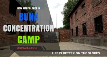 Exploring Buna Concentration Camp: Uncovering the Number of Blocks