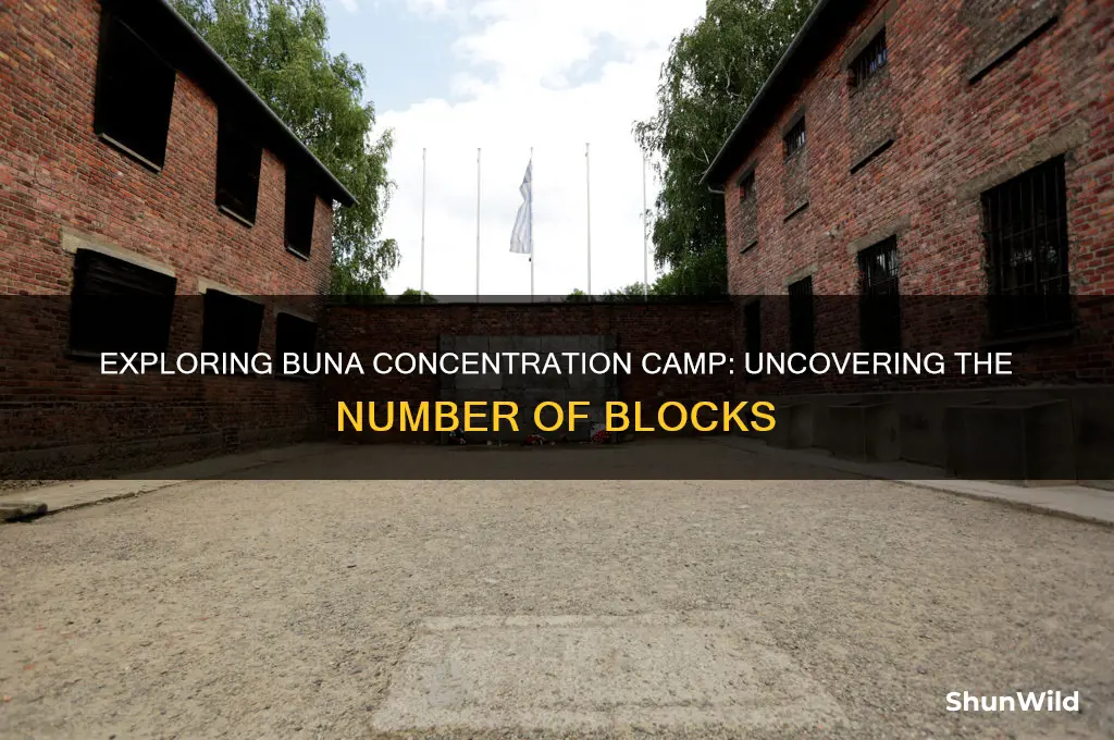 how many blocks in buna concentration camp