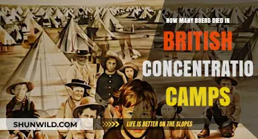 Boers' Tragedy: Deaths in British Concentration Camps During the War