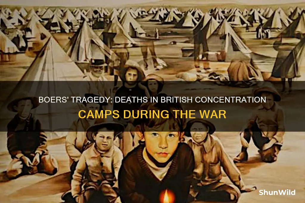 how many boers died in british concentration camps