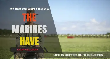 Marine Corps Boot Camp Frequency: Annual Training Cycles Explained