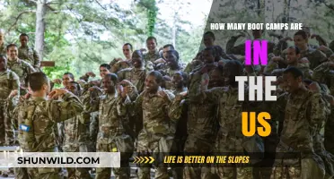 Exploring the Number of Boot Camps Across the United States