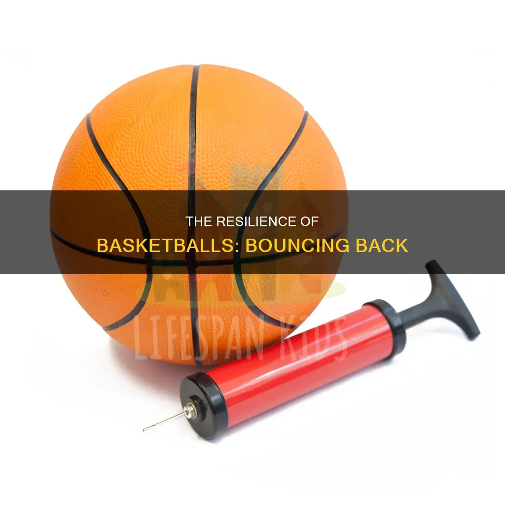 how many bounces in the life of a basketball