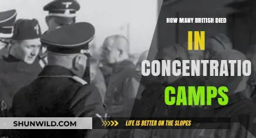 British Victims in Concentration Camps: Uncovering the Tragic Toll