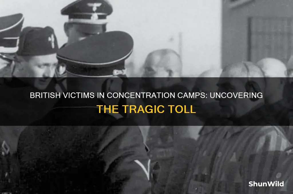 how many british died in concentration camps