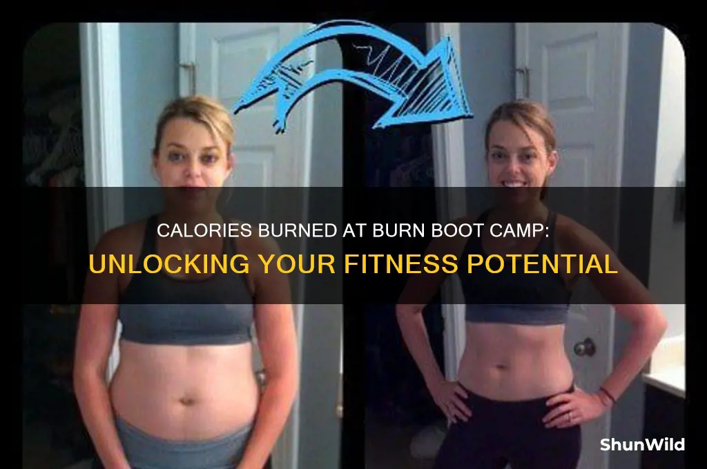 how many calories are burned at burn boot camp