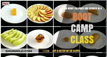 Calories Blasted: Boot Camp Class Burn Rate Revealed