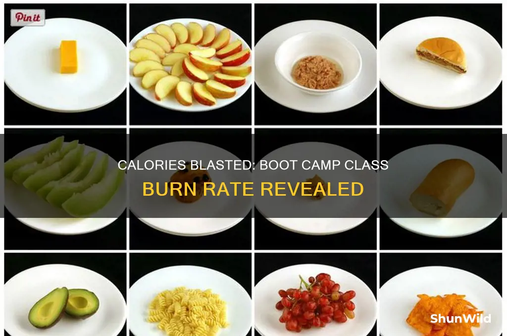 how many calories are burned in a boot camp class