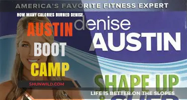 Denise Austin Boot Camp: Calories Burned and Fitness Benefits