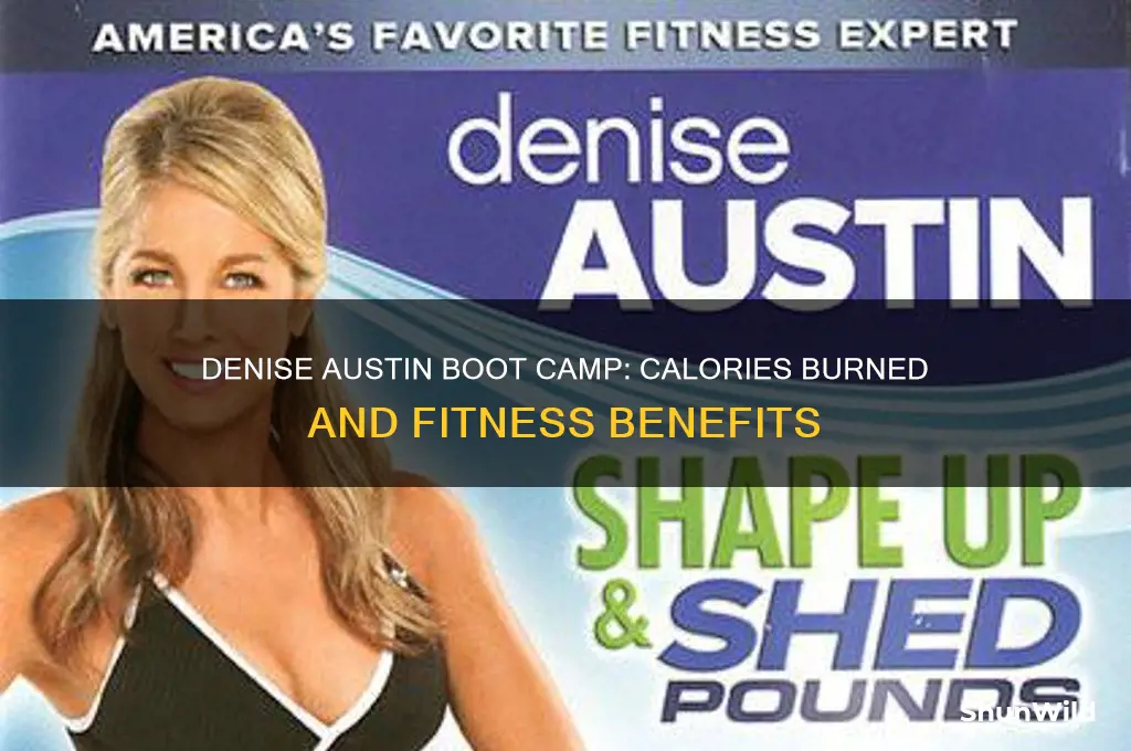 how many calories burned denise austin boot camp