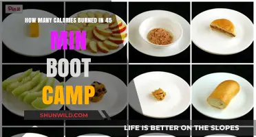 Calories Torched: 45-Minute Boot Camp Workout Burn Rate Revealed