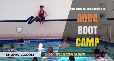 Aqua Boot Camp Calorie Burn: Maximize Your Water Workout Results