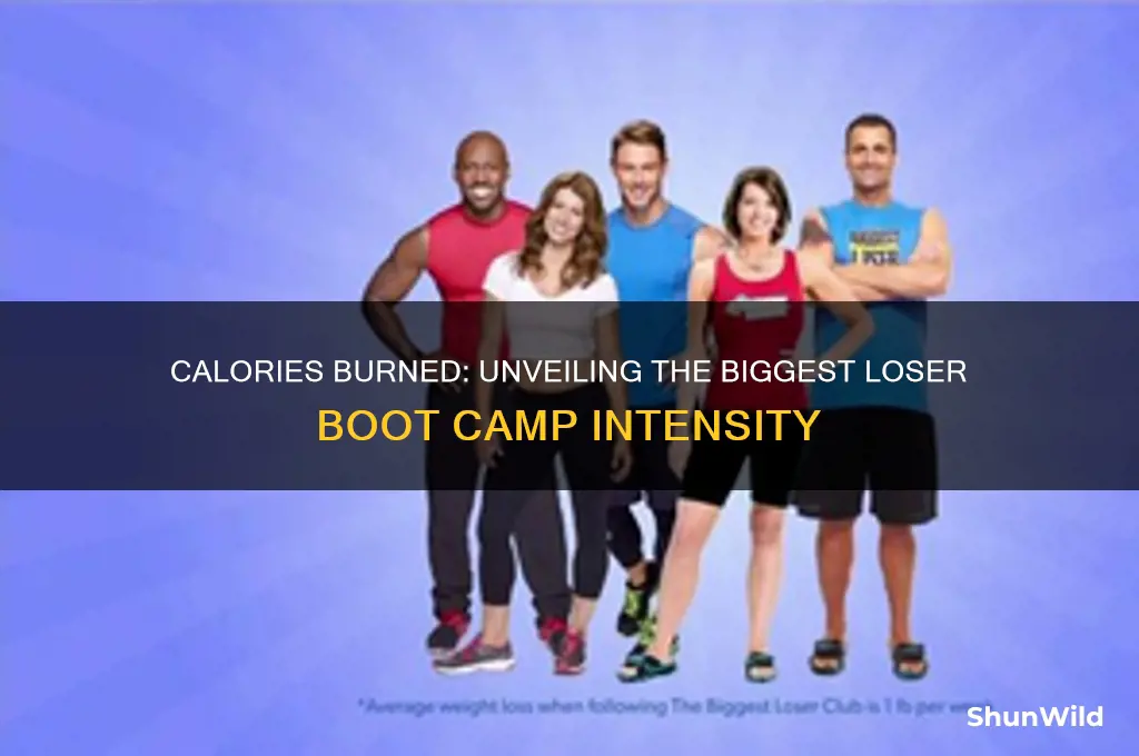 how many calories burned in biggest loser boot camp