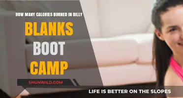 Calories Torched: Billy Blanks Boot Camp Workout Burn Rate