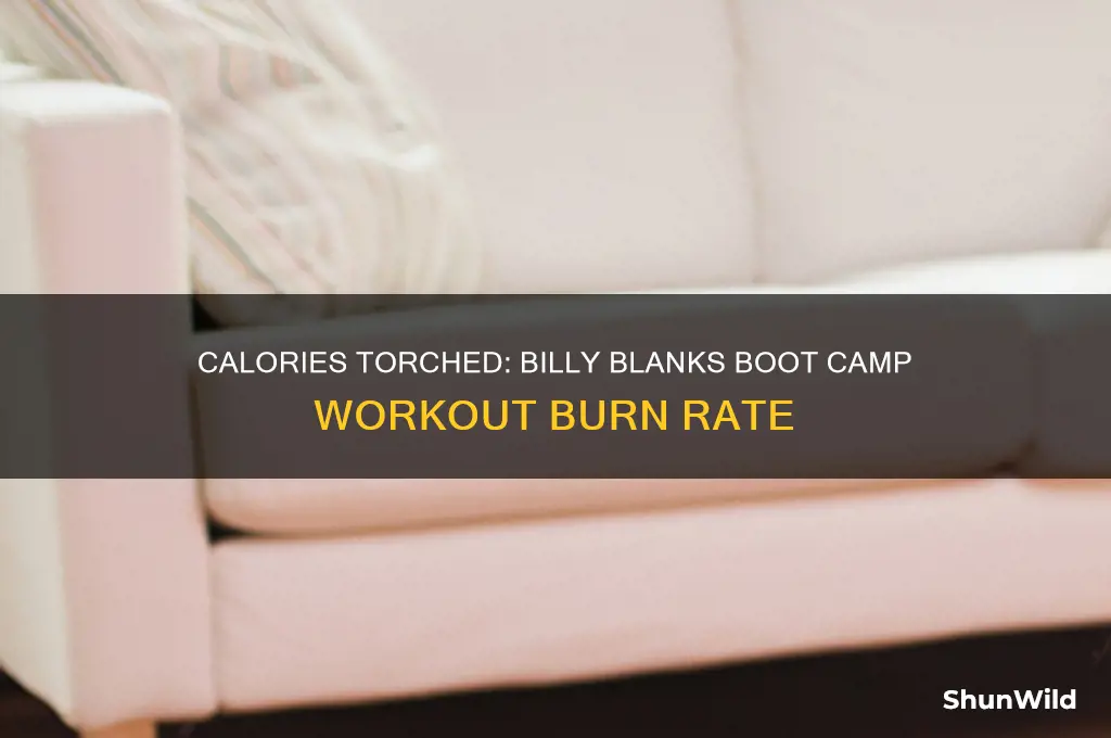 how many calories burned in billy blanks boot camp