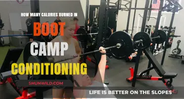 Calories Torched: Boot Camp Conditioning Workout Burn Rate Revealed