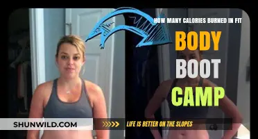 Calories Burned in Fit Body Boot Camp: What to Expect