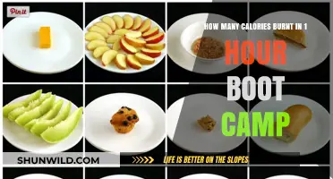 Maximize Your Burn: Calories Torched in 1-Hour Boot Camp