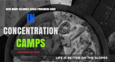 Caloric Intake in Concentration Camps: A Grim Historical Perspective
