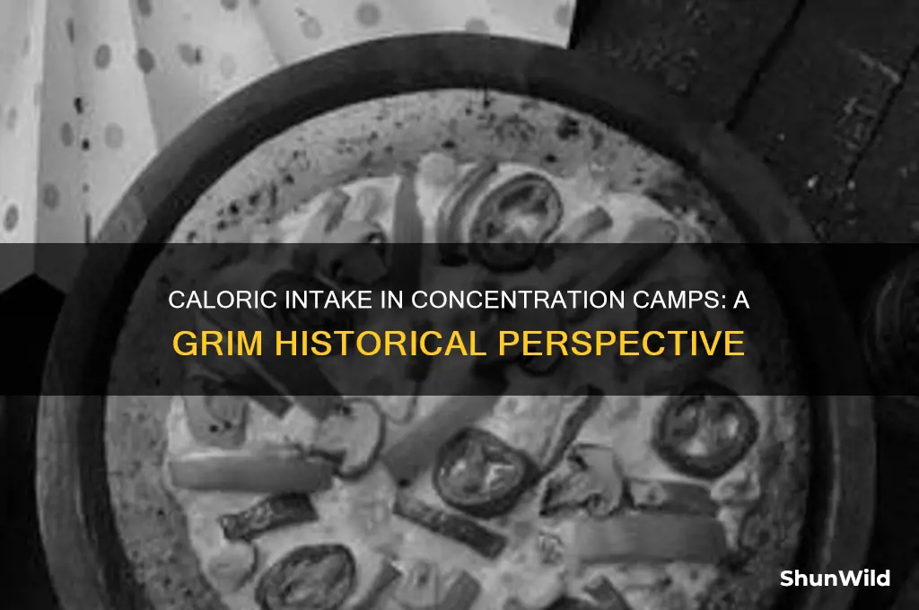 how many calories could prisoners have in concentration camps