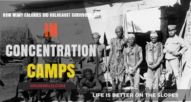 Holocaust Survivors' Daily Caloric Intake in Concentration Camps