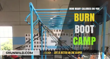 Calories Burned in Boot Camp: Unlocking Your Fitness Potential