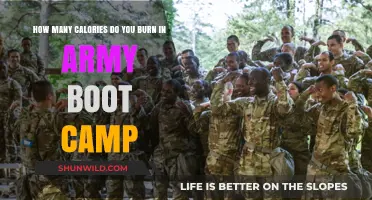 Calories Burned in Army Boot Camp: Unveiling the Intense Workout Impact