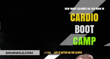 Calories Burned in Cardio Boot Camp: What to Expect