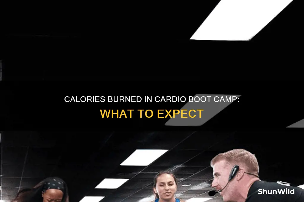 how many calories do you burn in cardio boot camp