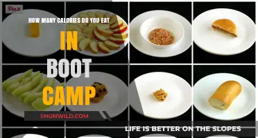 Calorie Intake in Boot Camp: Fueling Your Intense Training Journey