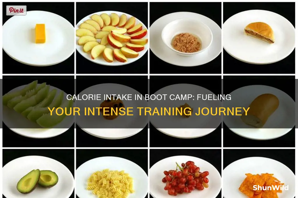 how many calories do you eat in boot camp