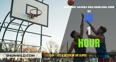 Burning Calories: Basketball 1v1 Style