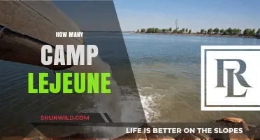 Uncovering the Truth: How Many Camp Lejeune Victims Exist?