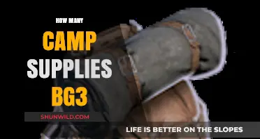 Essential Camp Supplies Guide for Baldur's Gate 3 Players