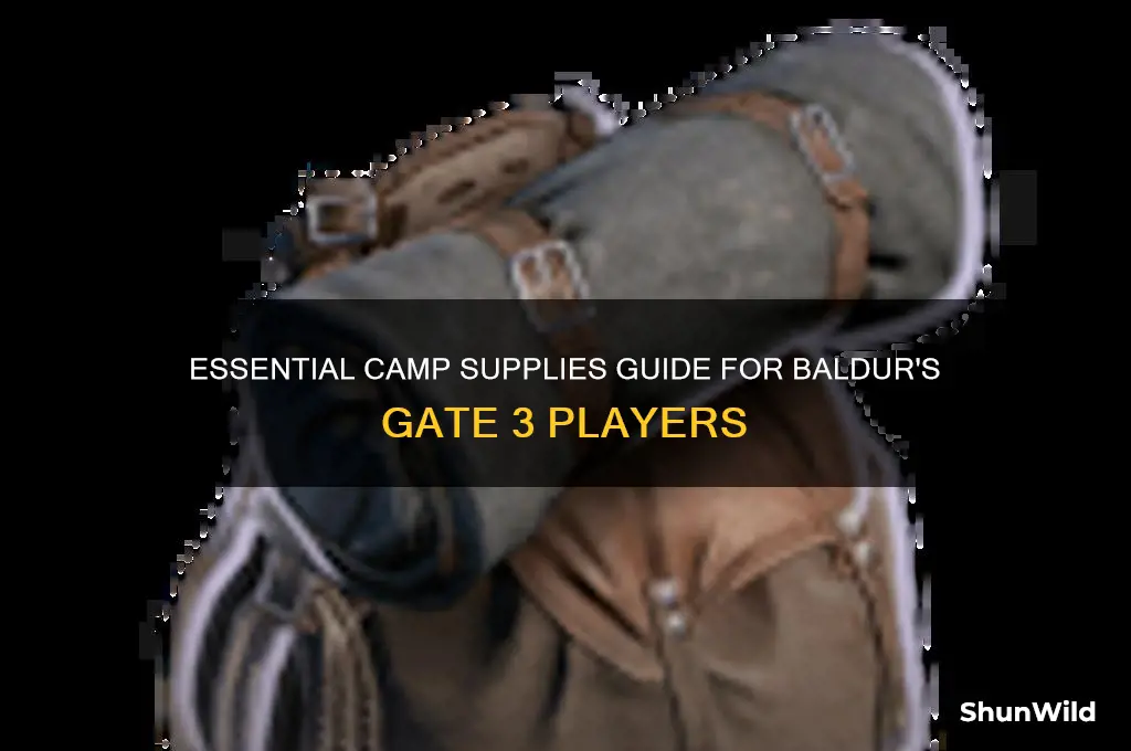 how many camp supplies bg3