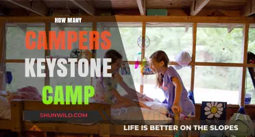 Keystone Camp's Capacity: How Many Campers Can It Accommodate?