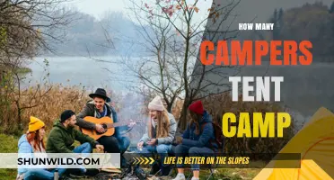 Exploring the Popularity of Tent Camping Among Outdoor Enthusiasts