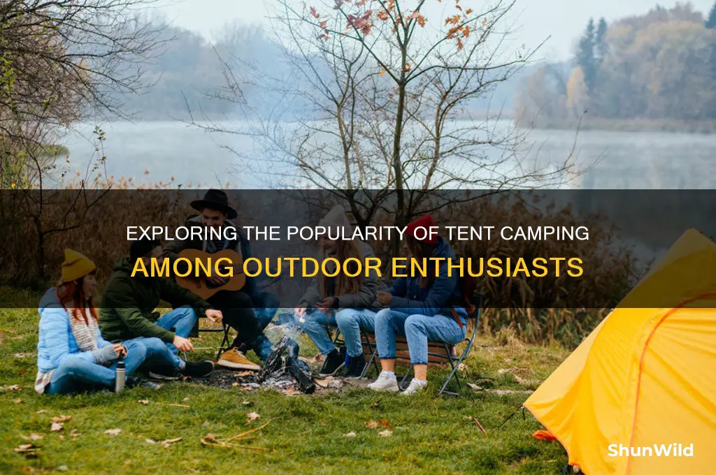 how many campers tent camp