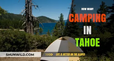 Exploring Tahoe's Campsites: A Guide to Camping in the Sierra Nevada