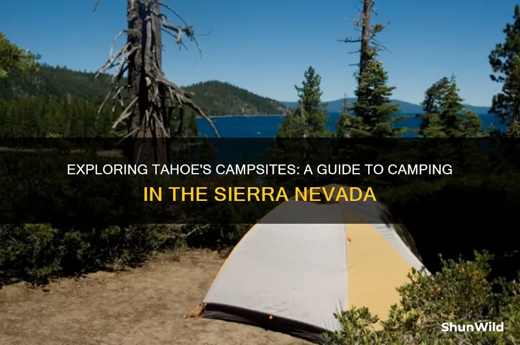 how many camping in tahoe