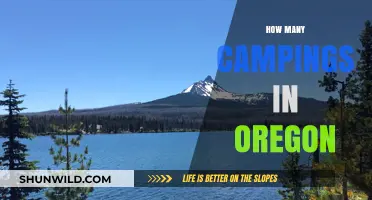 Exploring Oregon's Campgrounds: A Comprehensive Guide to Camping Options