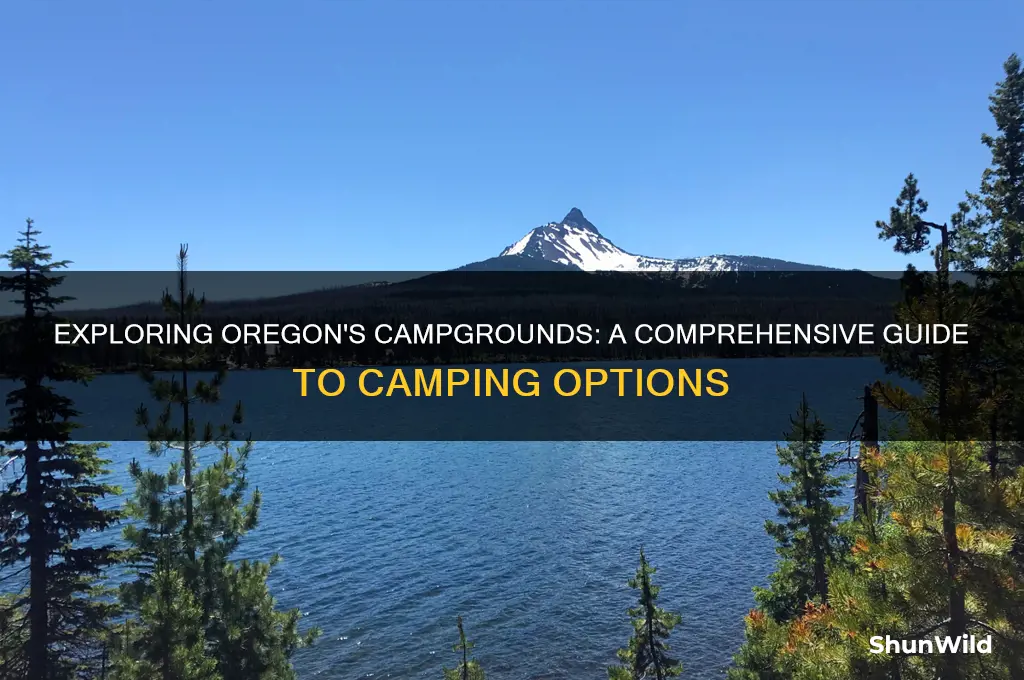 how many campings in oregon