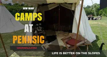 Exploring the Numerous Camps at Pennsic War: A Comprehensive Guide