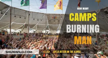 Exploring the Number of Camps at Burning Man Festival