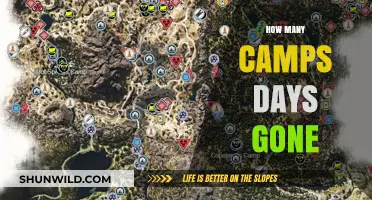 Surviving the Wilderness: Uncovering Camps in Days Gone Adventure