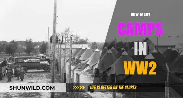 Unveiling the Vast Network of WWII Camps and Their Roles